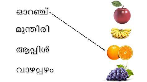Malayalam worksheet for LKG/UKG .